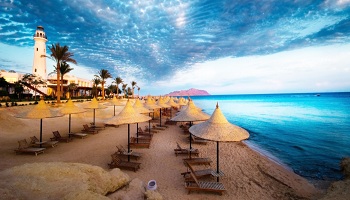 Hotel offers in Sharm El Sheikh