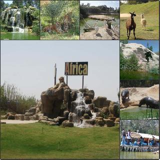 Travel to Egypt Tours in Egypt Travel Offers to Egypt Travel to Egypt Tours in Egypt Travel Offers to Egypt