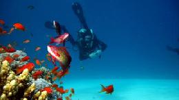 Travel to Egypt Tours in Egypt Travel Offers to Egypt Travel to Egypt Tours in Egypt Travel Offers to Egypt