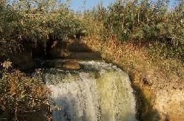 Travel to Egypt Tours in Egypt Travel Offers to Egypt Travel to Egypt Tours in Egypt Travel Offers to Egypt