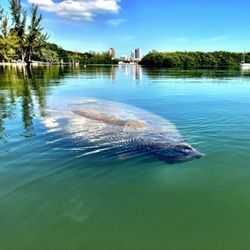 Agazaclick Visit Historic Virginia Key Beach Park Miami Historic Virginia Key Beach Park Beachvvvv