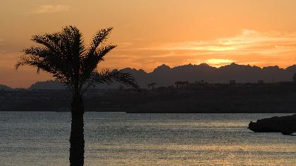Sharm El Sheikh, Movenpick Hotel Naama Bay