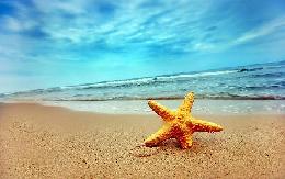 Travel to Egypt Tours in Egypt Travel Offers to Egypt Travel to Egypt Tours in Egypt Travel Offers to Egypt